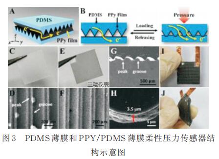 PDMS Ĥ PPY/PDMS ĤԉY(ji) (gu)ʾD